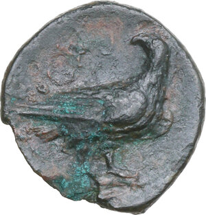 Reverse image