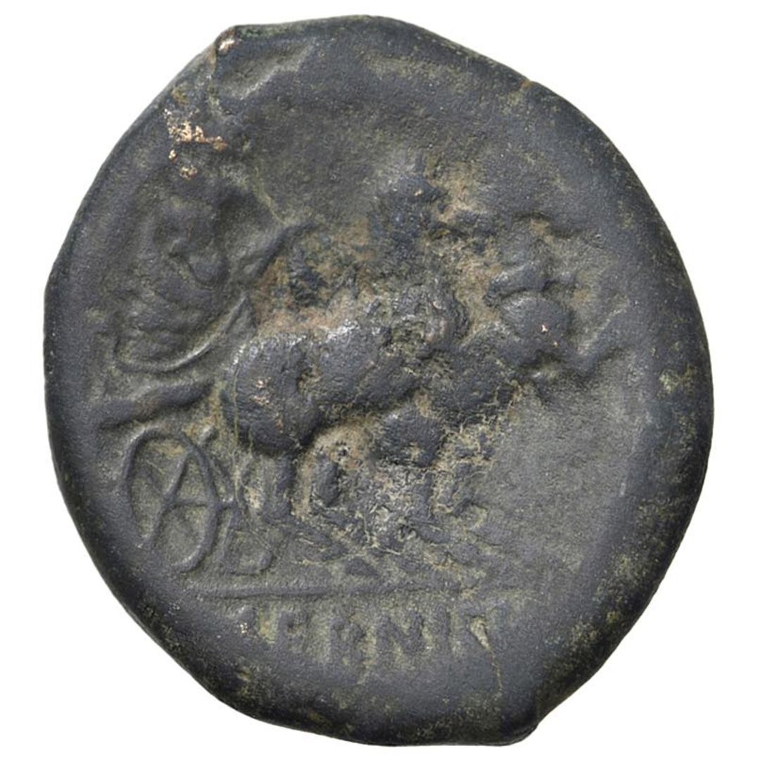 Rovescio moneta