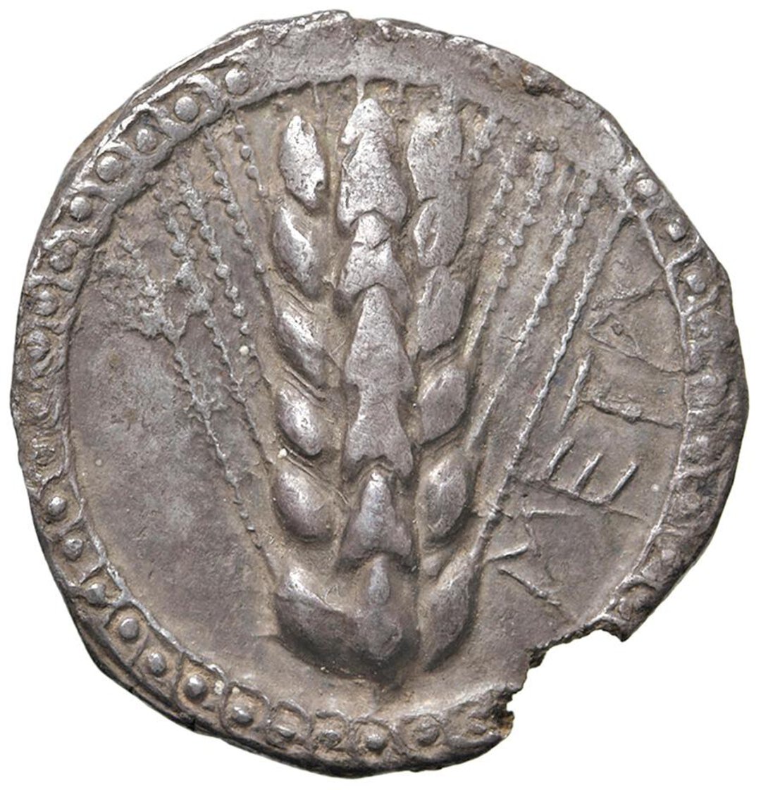 Dritto moneta
