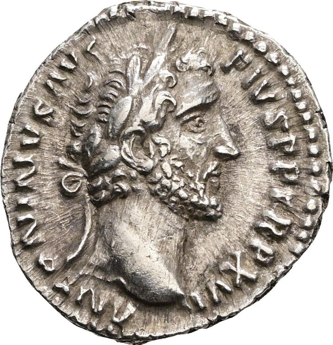 Dritto moneta
