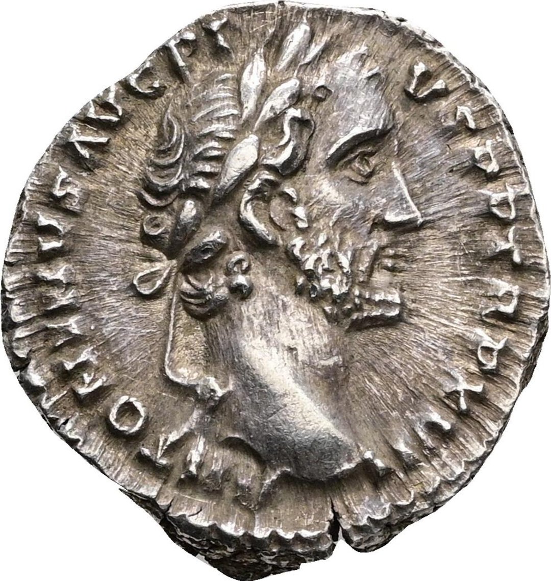 Dritto moneta
