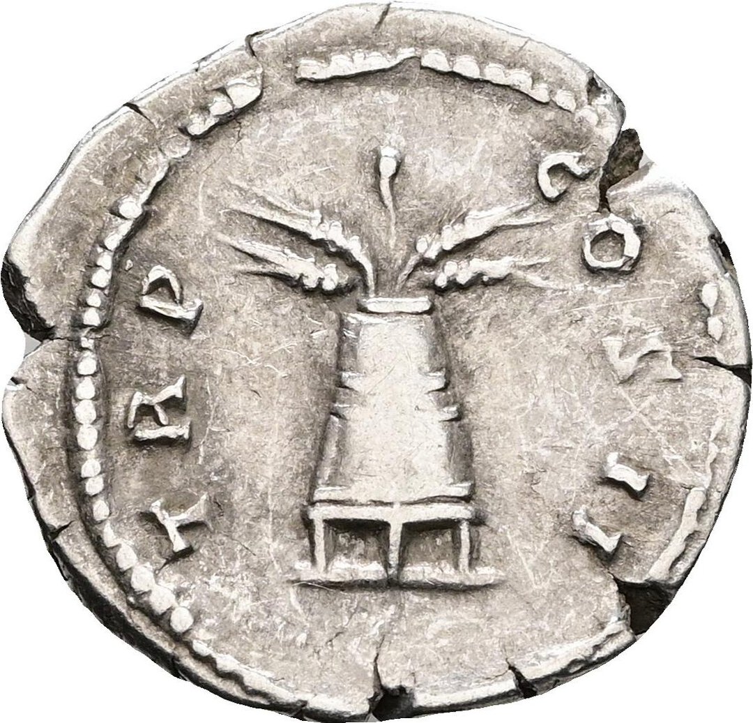 Rovescio moneta