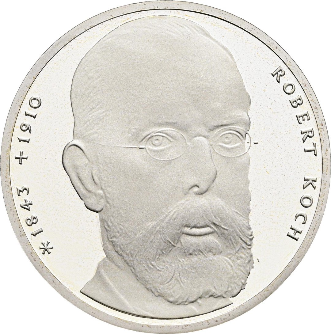 Dritto moneta