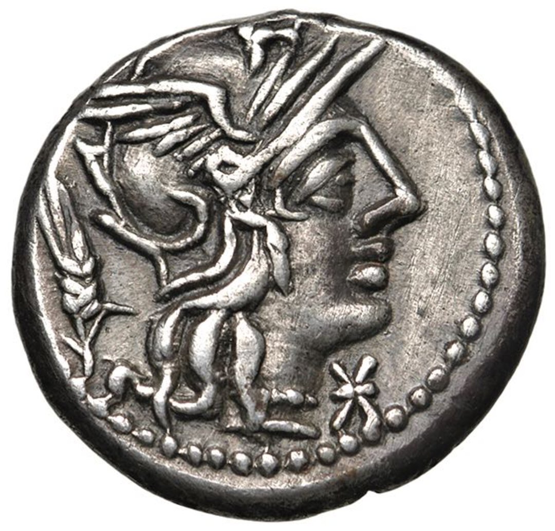 Dritto moneta