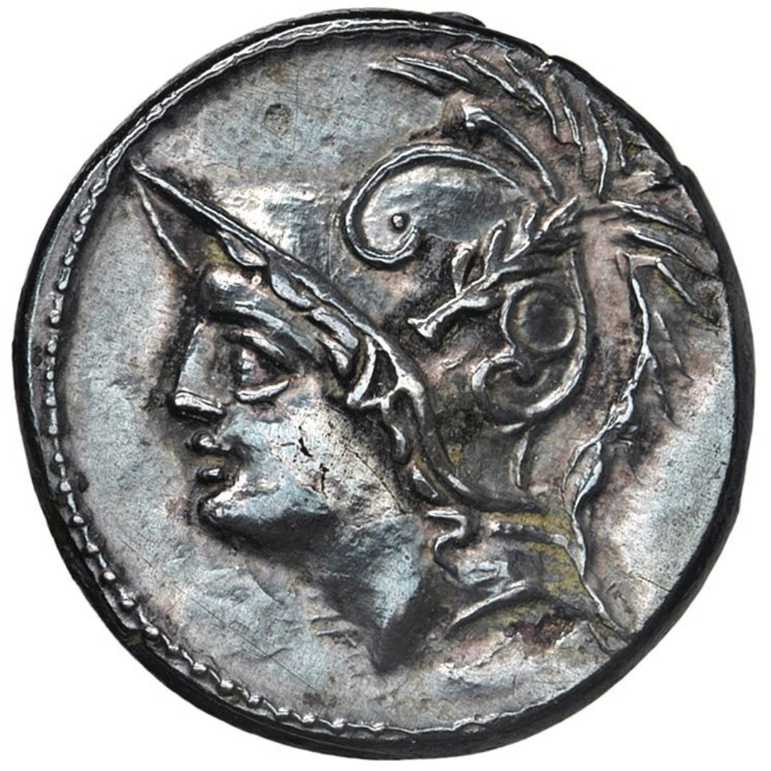 Dritto moneta