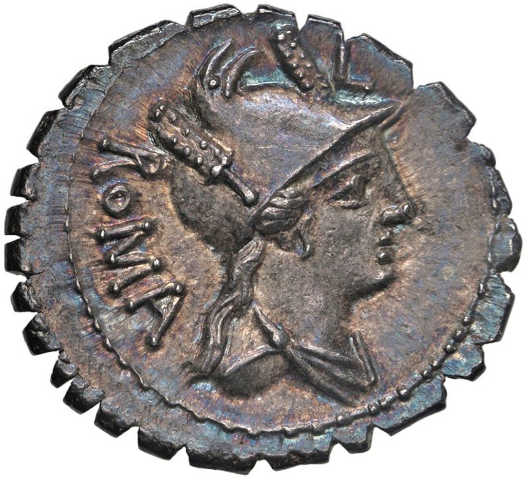 Dritto moneta