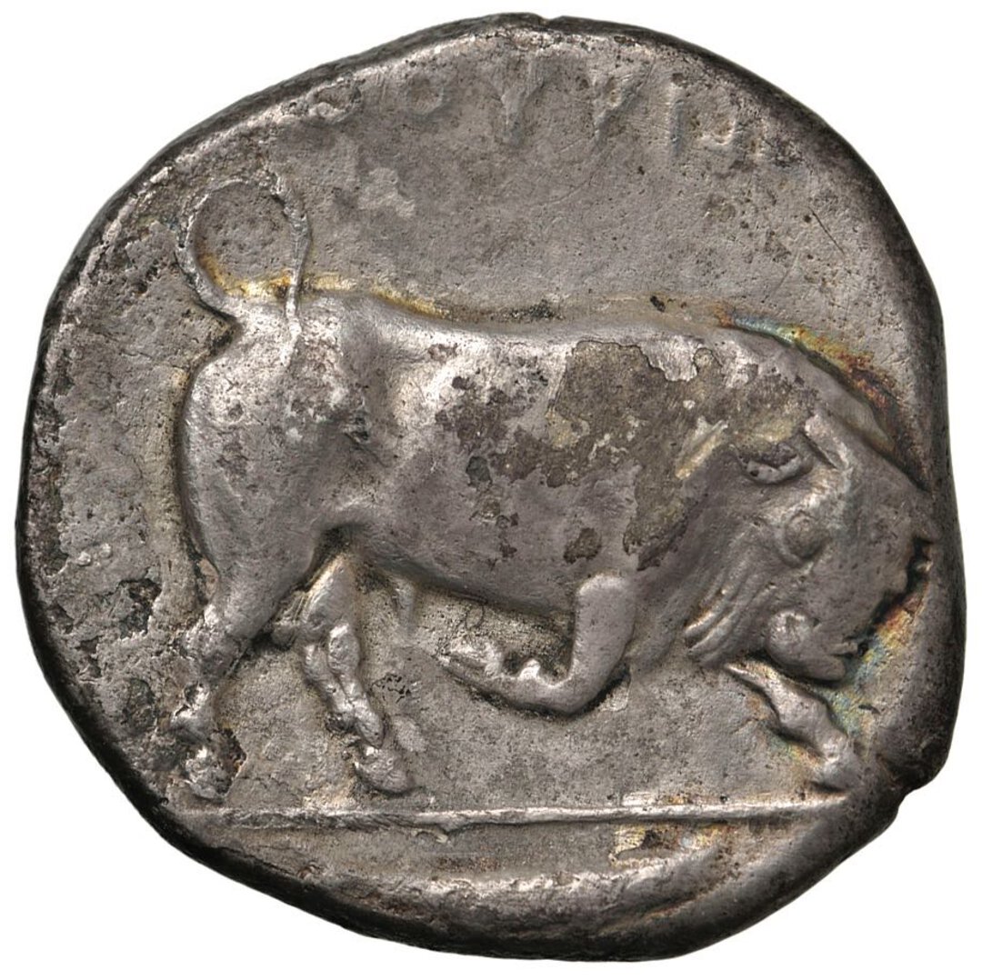 Rovescio moneta