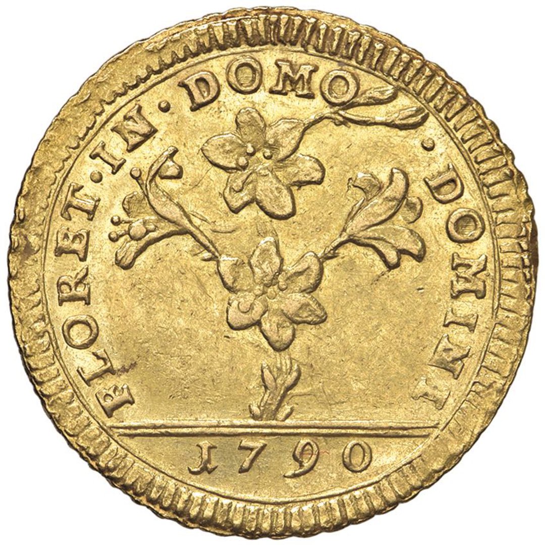 Dritto moneta