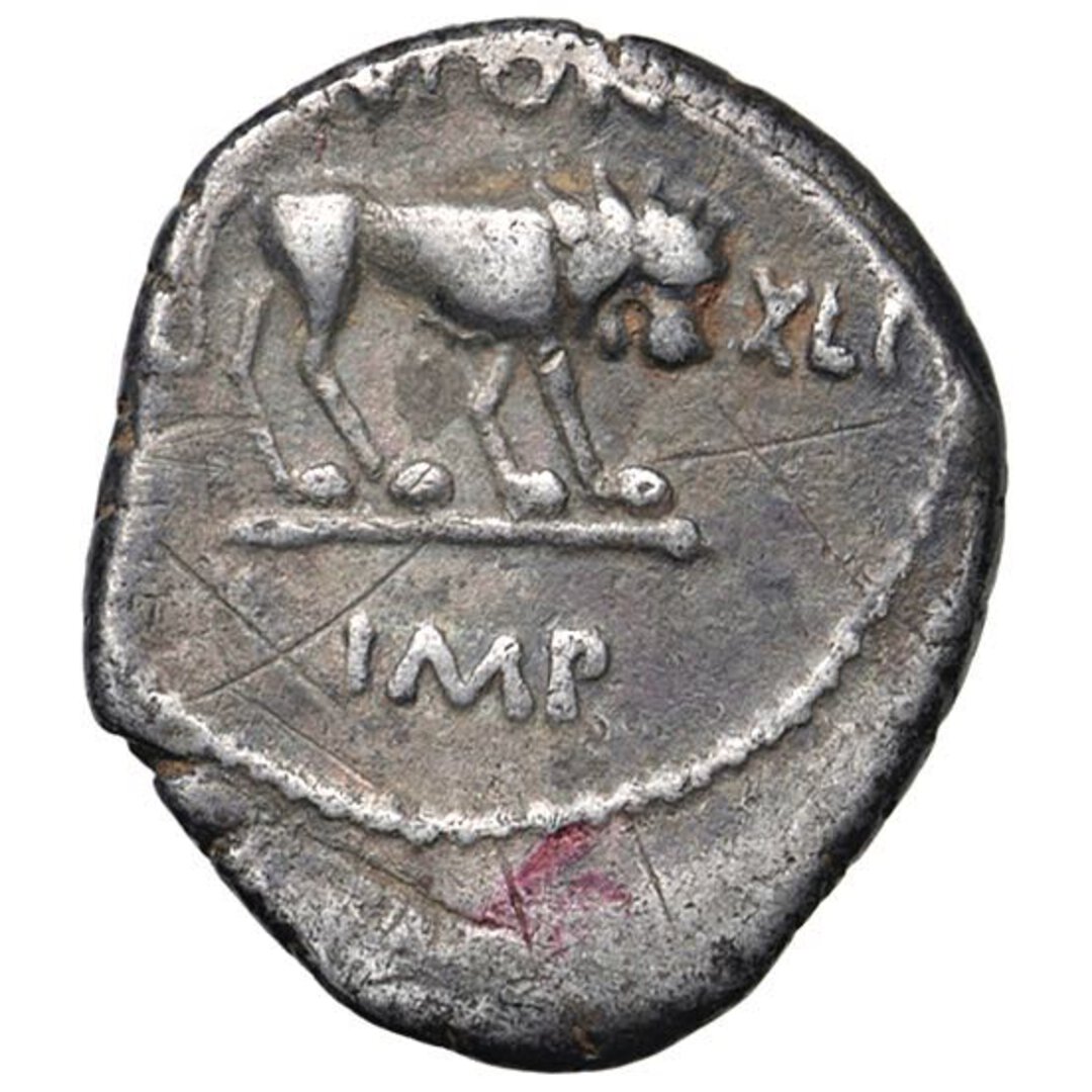 Rovescio moneta