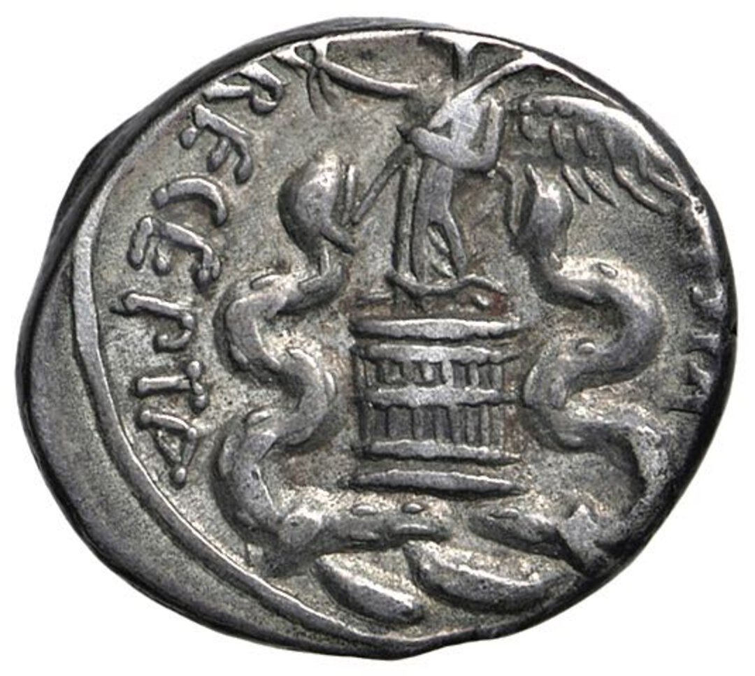 Rovescio moneta