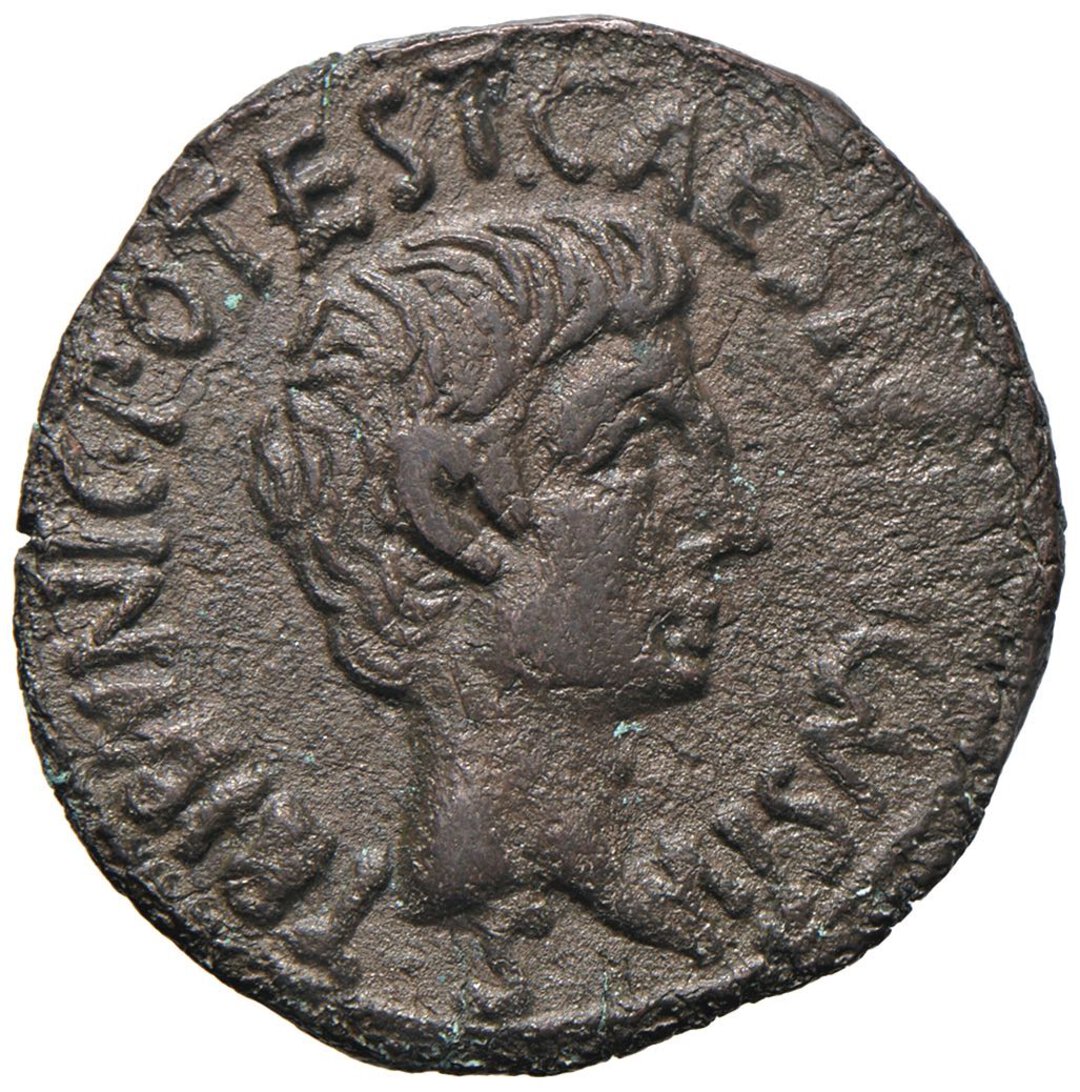 Dritto moneta
