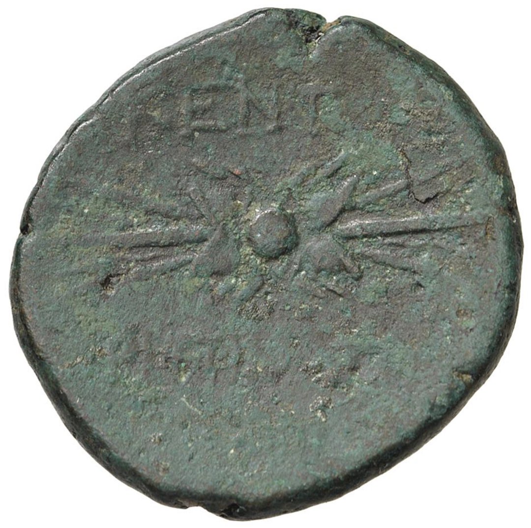 Rovescio moneta