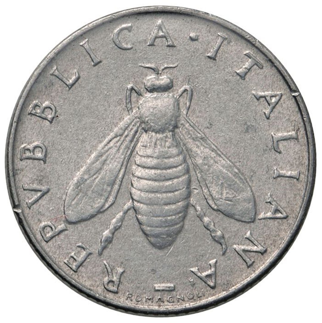 Dritto moneta
