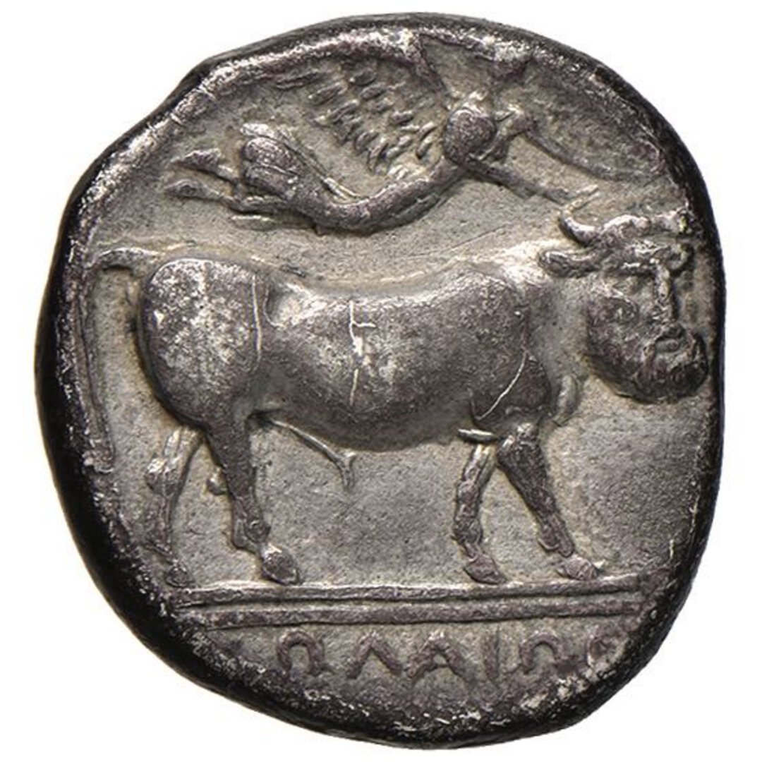 Rovescio moneta