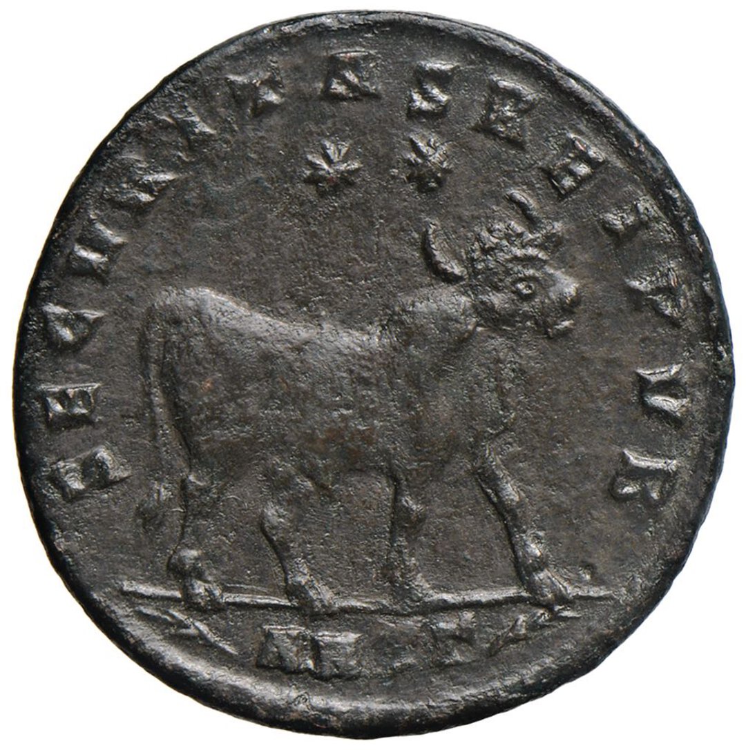 Rovescio moneta