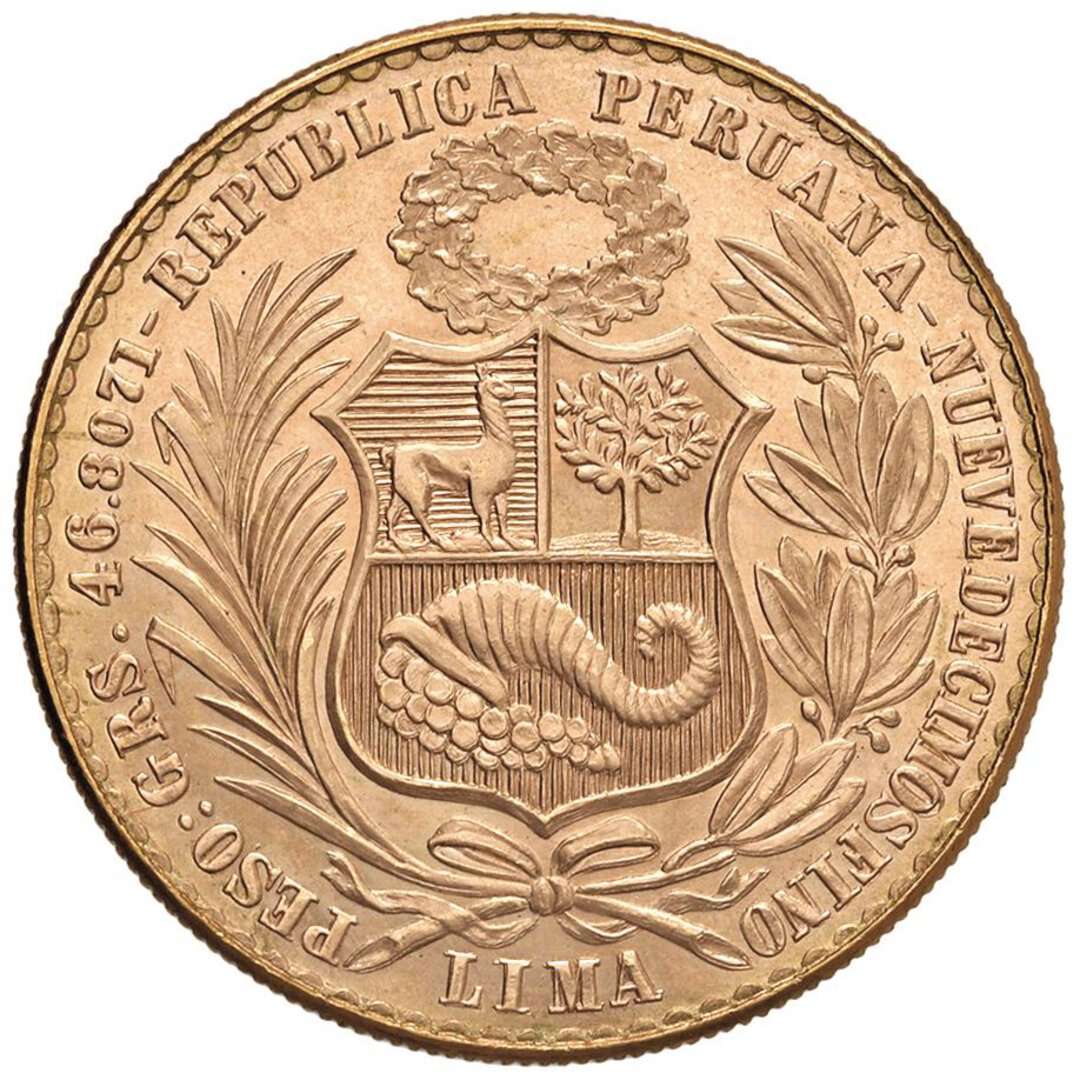 Dritto moneta