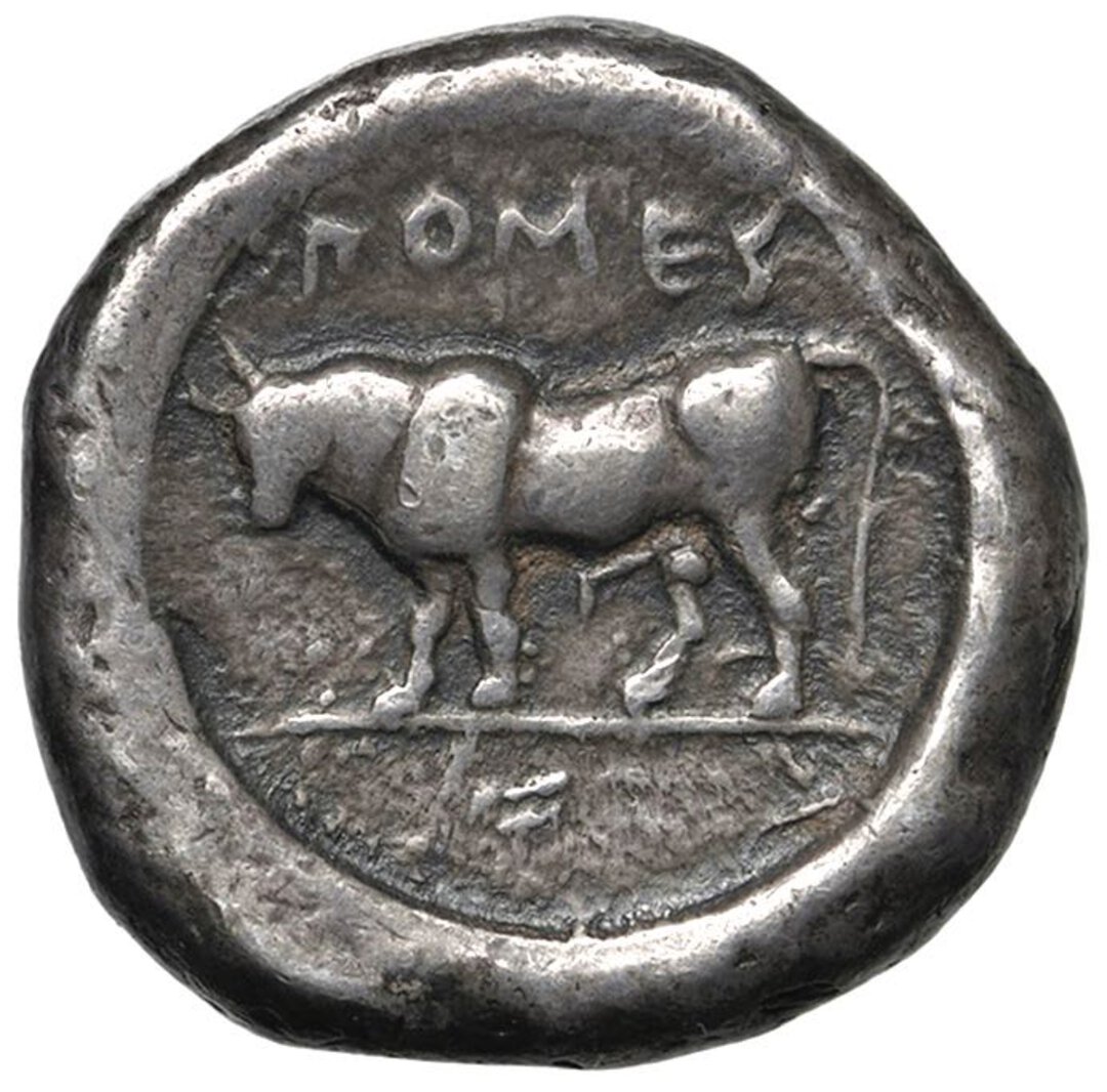 Rovescio moneta