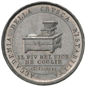 Immagine rovescio
