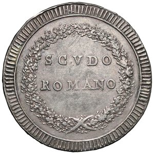 Immagine rovescio