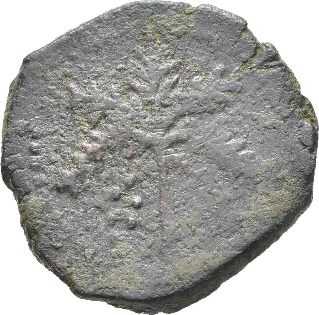 Rovescio moneta
