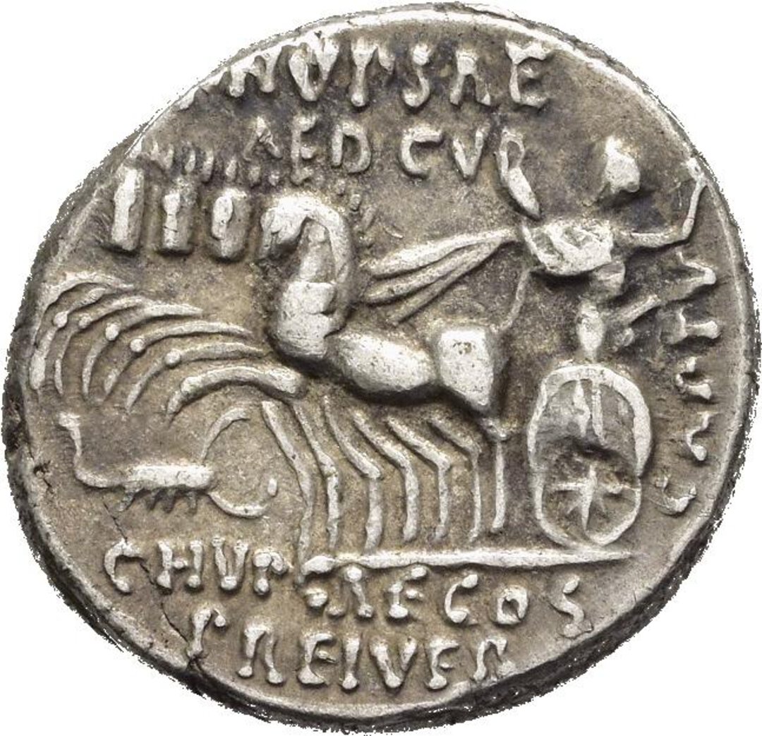 Dritto moneta