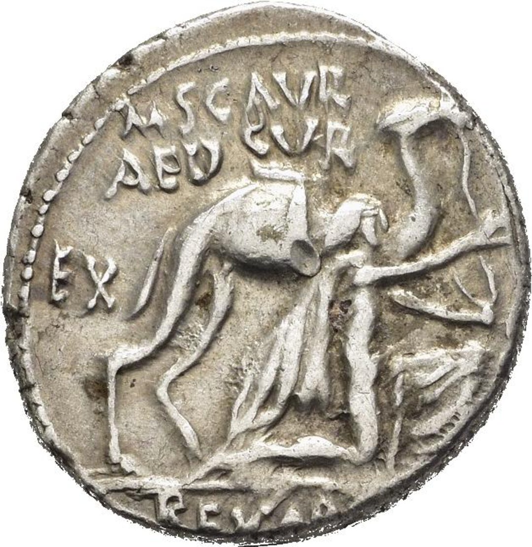 Rovescio moneta