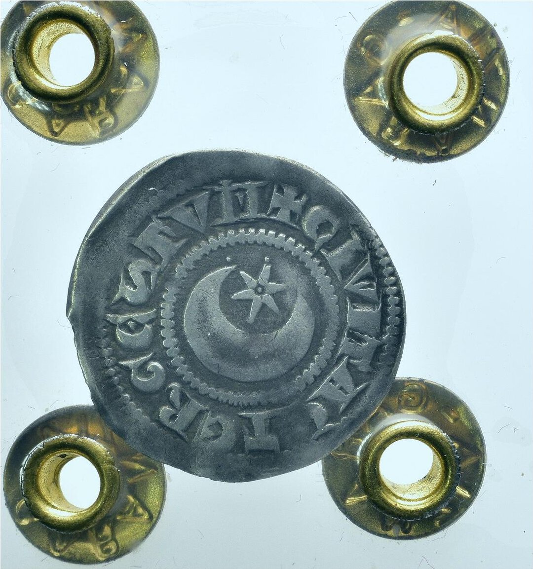 Dritto moneta