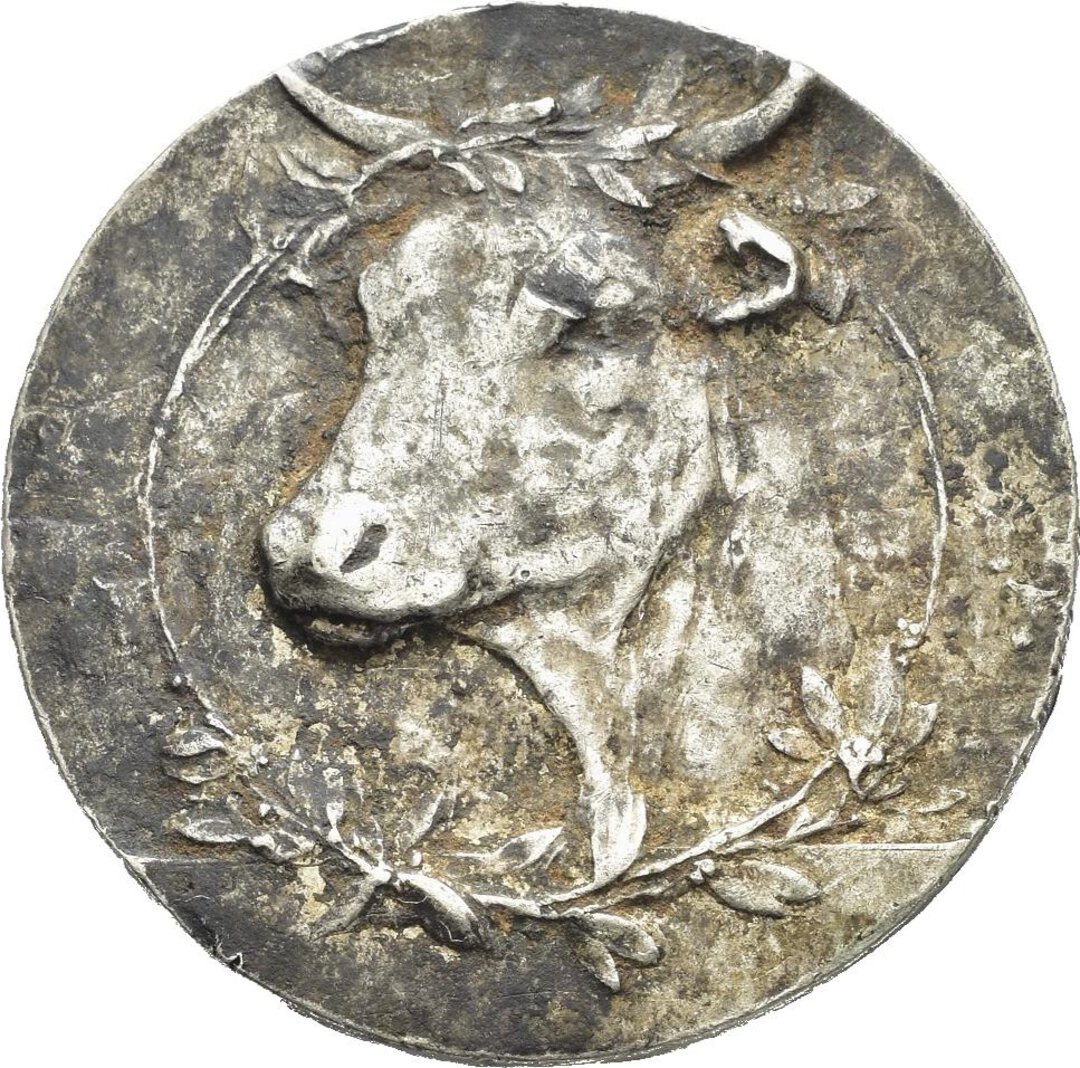 Dritto moneta