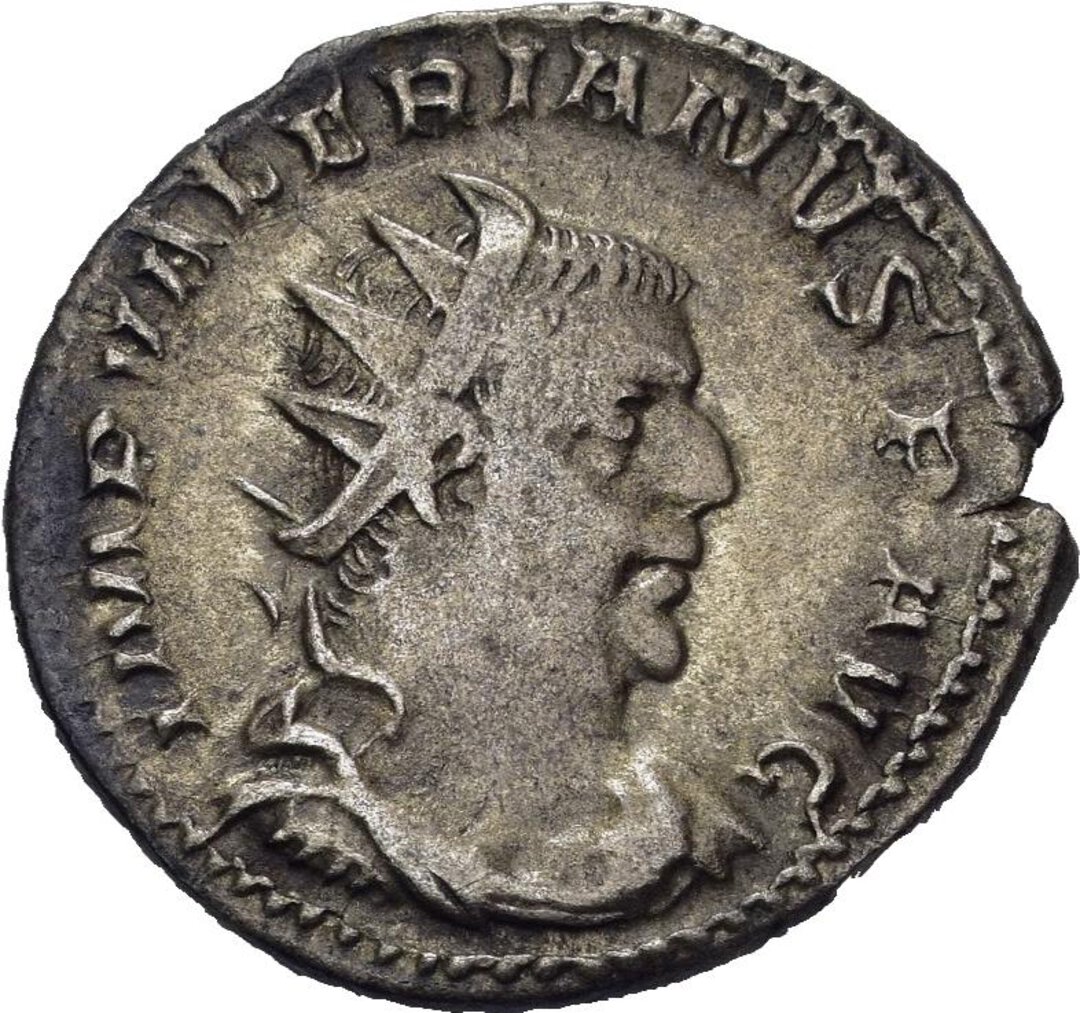 Dritto moneta