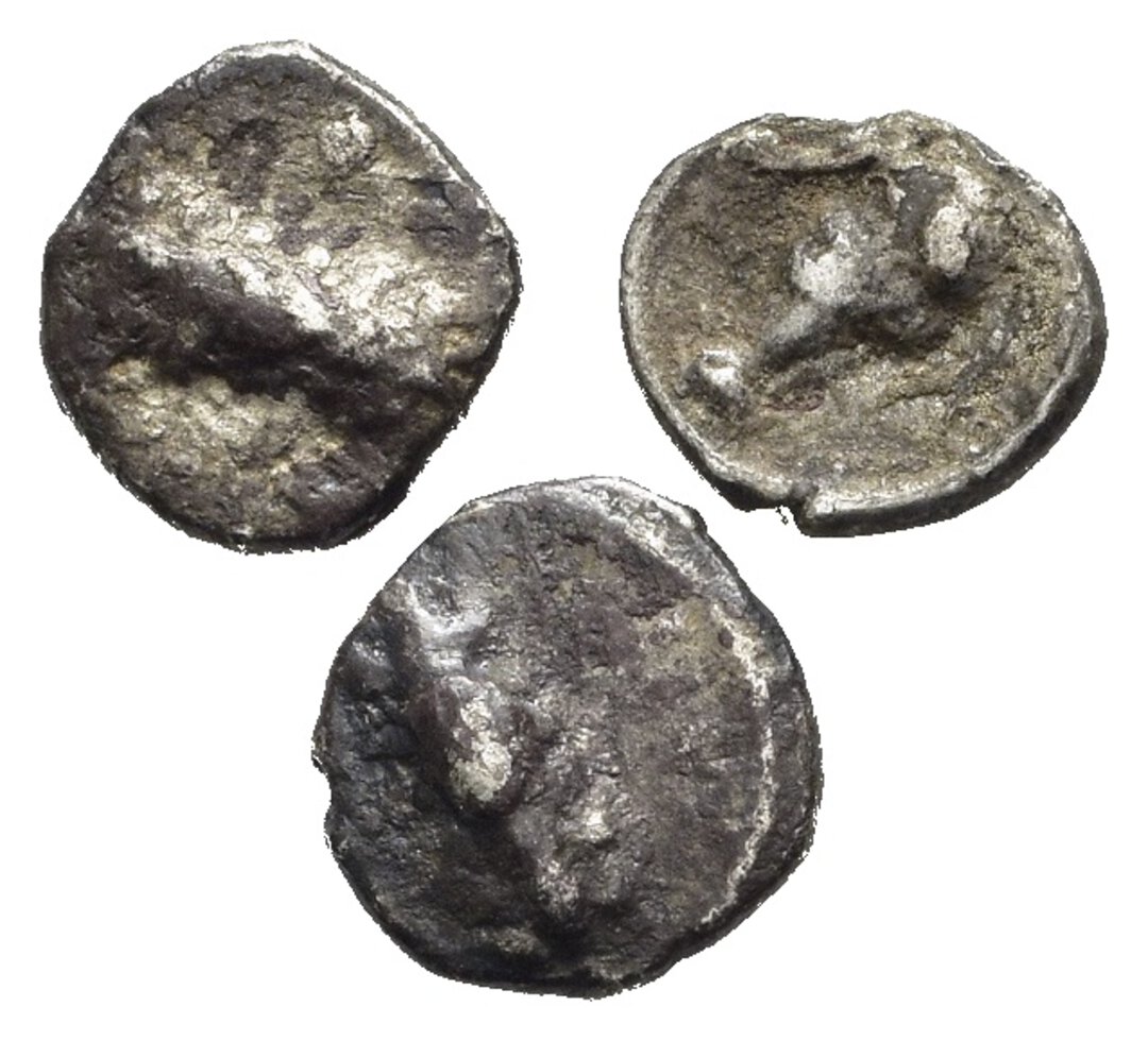 Dritto moneta