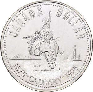 Immagine rovescio