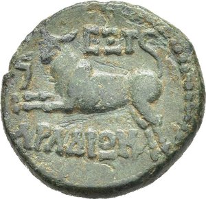 Immagine rovescio