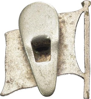 Immagine rovescio