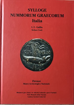Immagine diritto