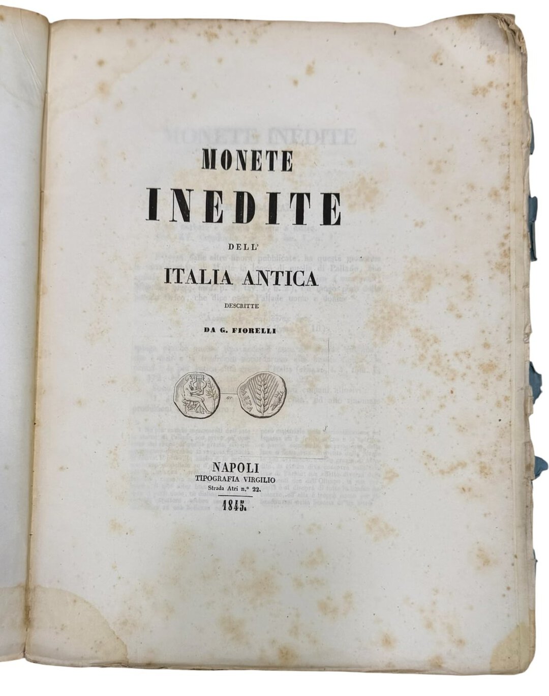 Dritto moneta