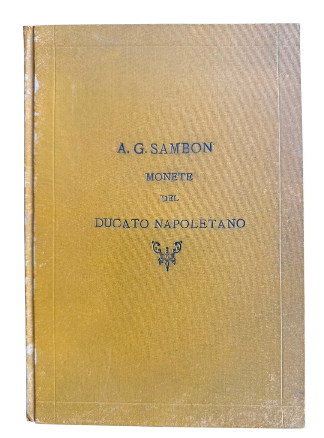 Dritto moneta