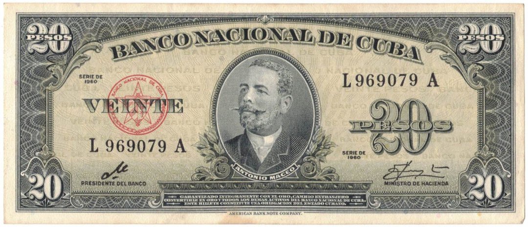 Dritto moneta