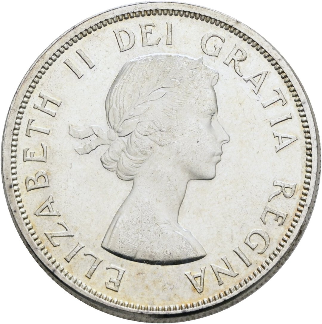 Dritto moneta
