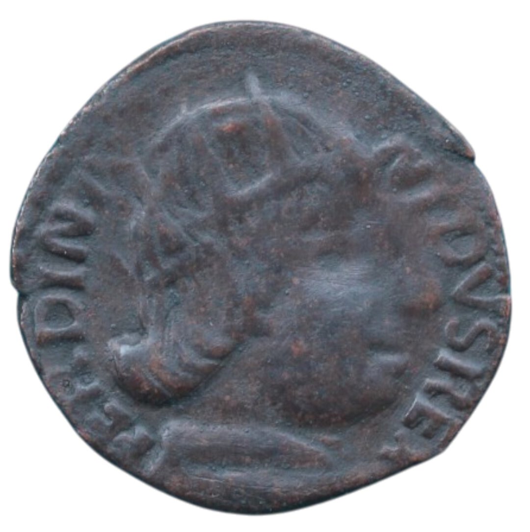 Dritto moneta