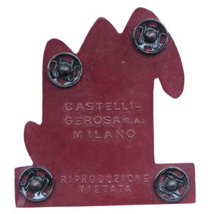Immagine rovescio