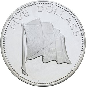 Immagine rovescio