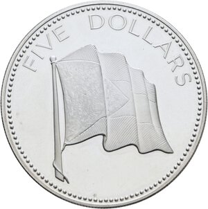 Immagine rovescio