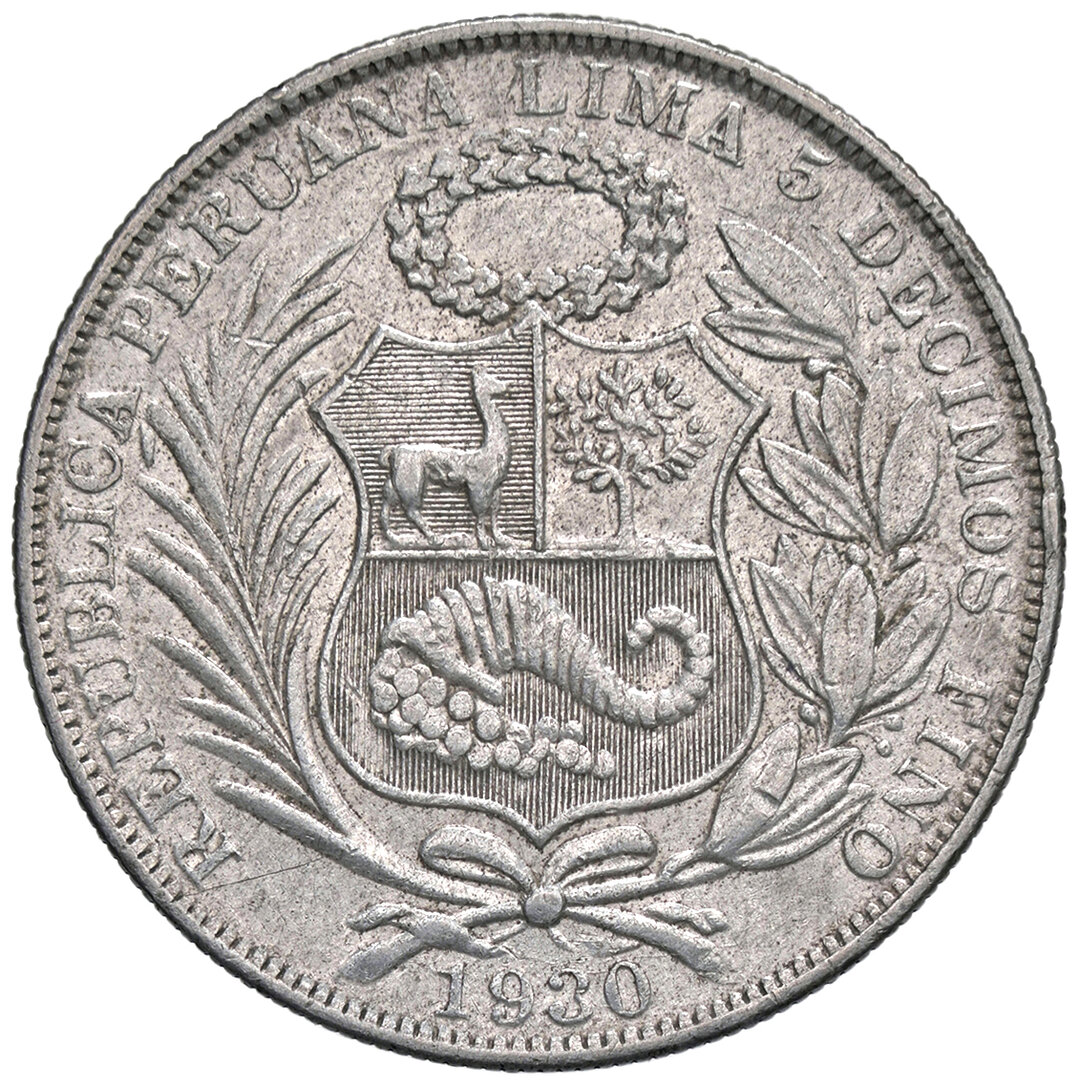 Dritto moneta