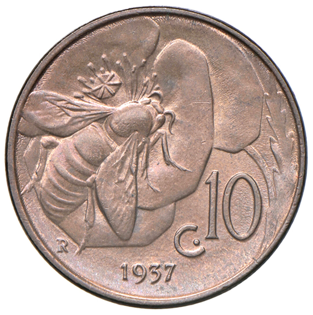 Rovescio moneta