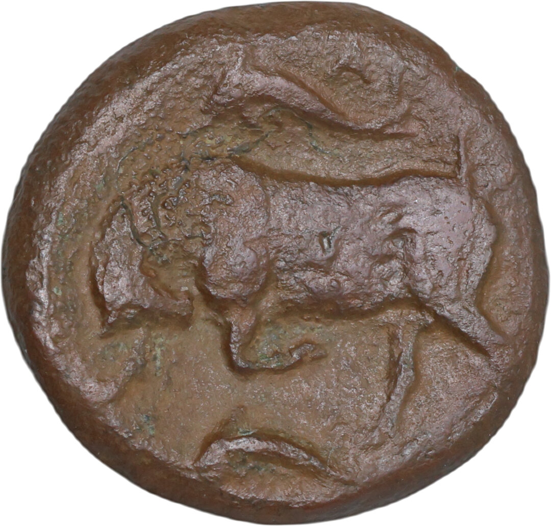 Rovescio moneta