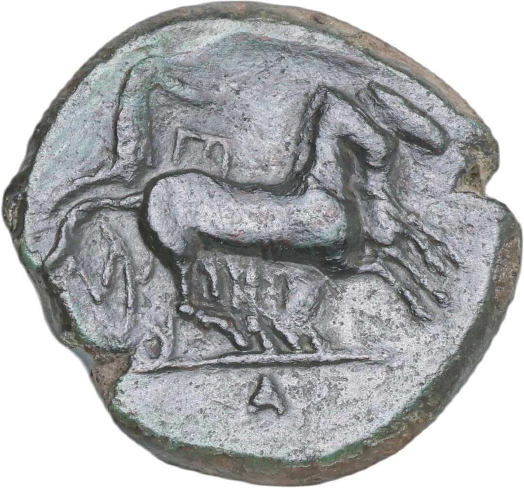 Rovescio moneta