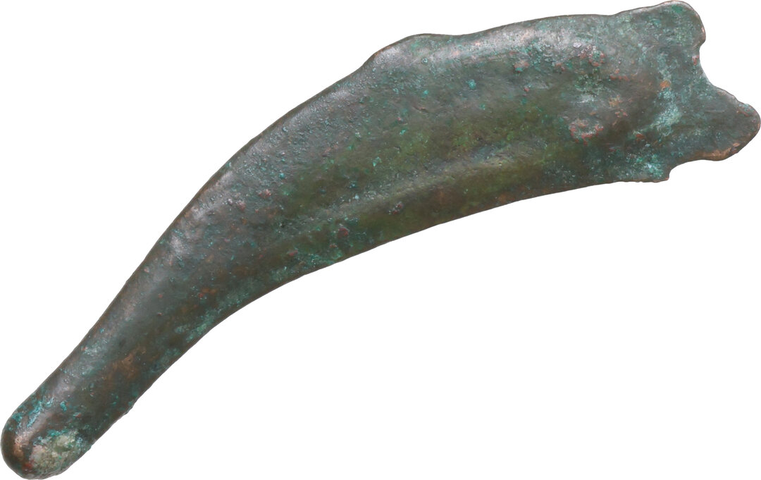 Dritto moneta
