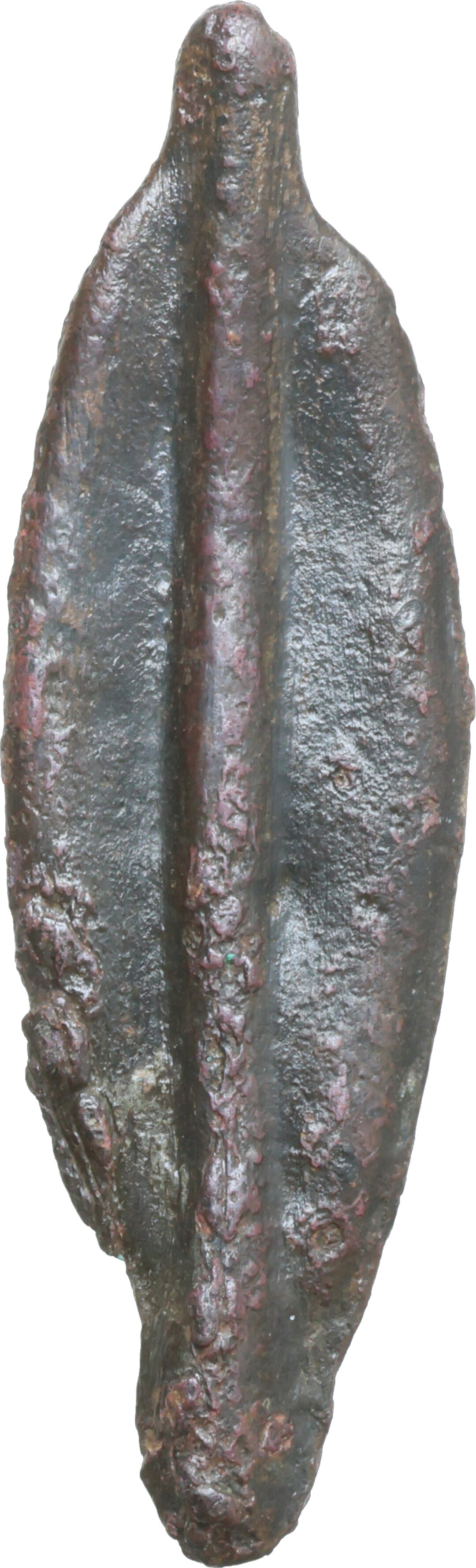 Dritto moneta