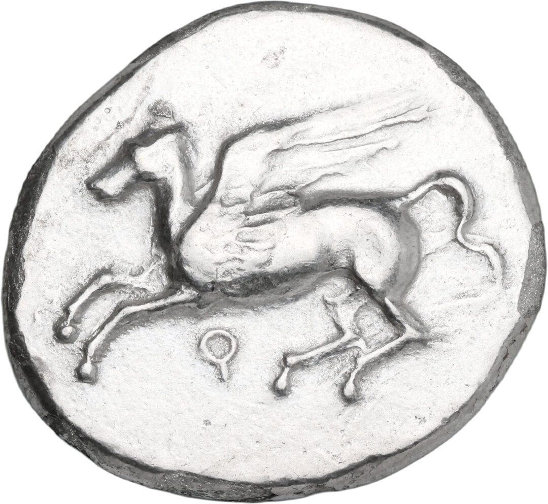 Dritto moneta
