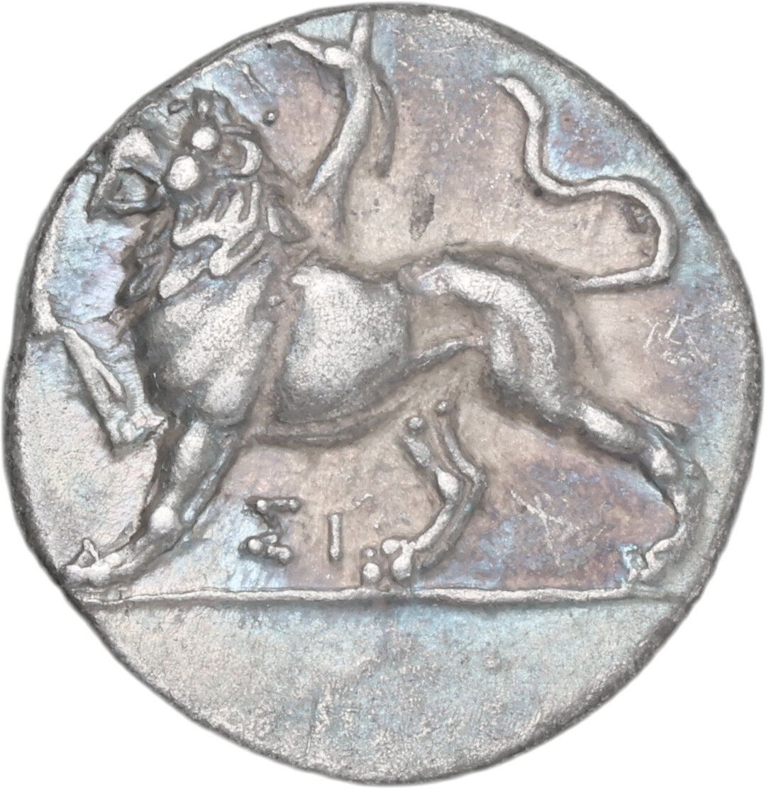 Dritto moneta